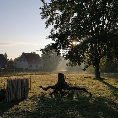 Ferienwohnung & Campingplatz Vor Dem Berg Heideblick Eksteriør bilde