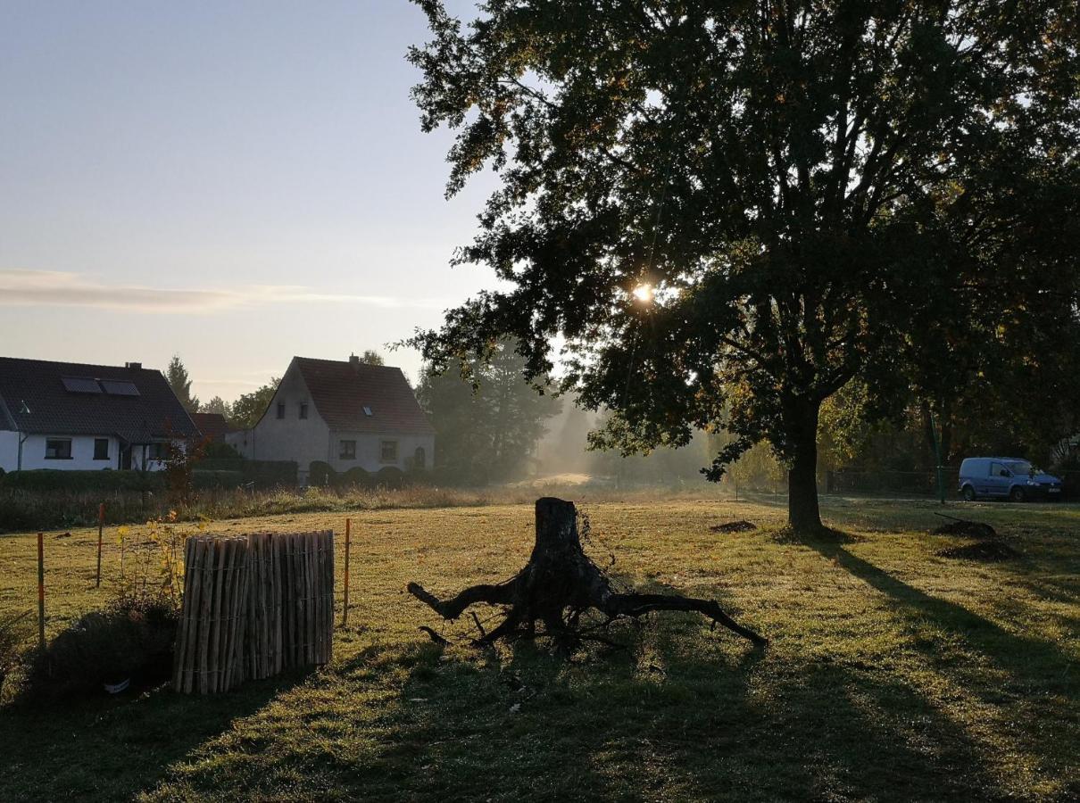 Ferienwohnung & Campingplatz Vor Dem Berg Heideblick Eksteriør bilde