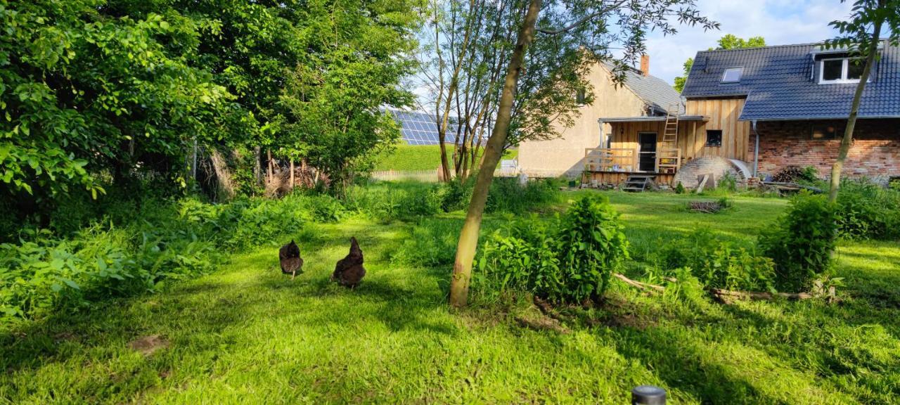 Ferienwohnung & Campingplatz Vor Dem Berg Heideblick Eksteriør bilde